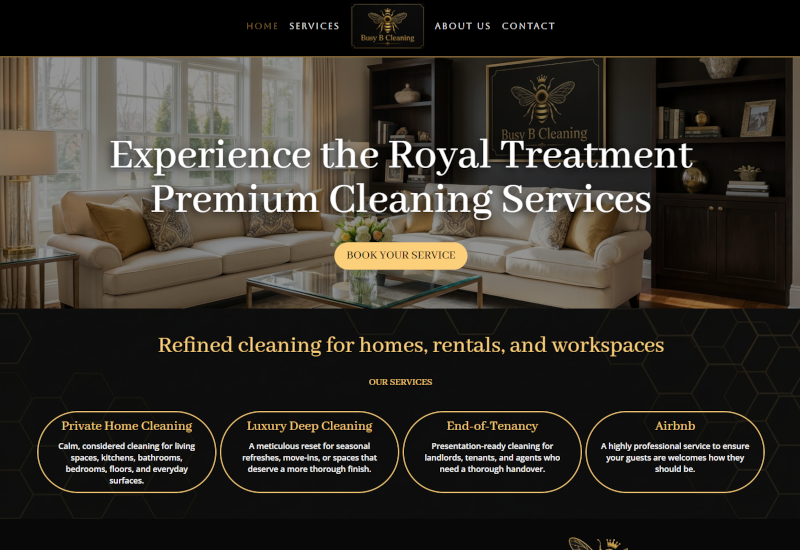 busy cleaning website